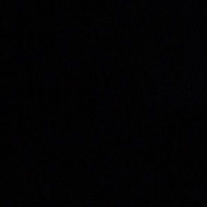 Meet your Posher, Ellie